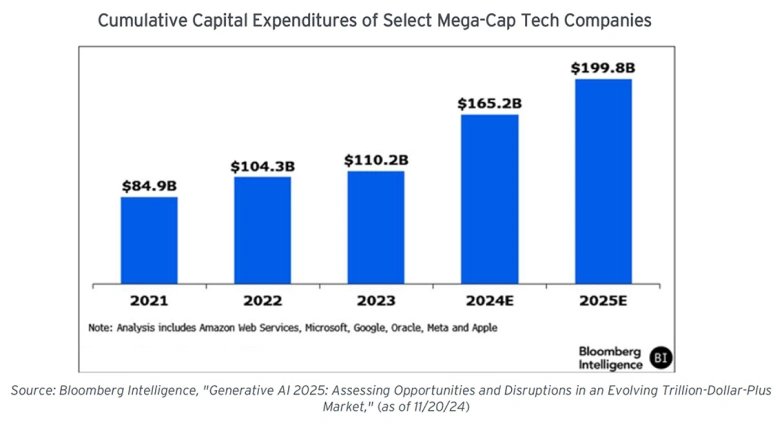 2024 Review & 2025 Outlook image 28